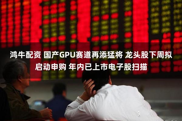 鸿牛配资 国产GPU赛道再添猛将 龙头股下周拟启动申购 年内已上市电子股扫描