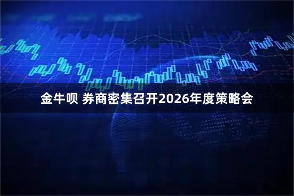金牛呗 券商密集召开2026年度策略会